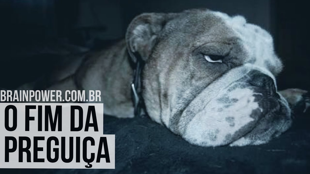 Como Acabar Com A Preguiça? Comande seu Cérebro! | Academia Cerebral