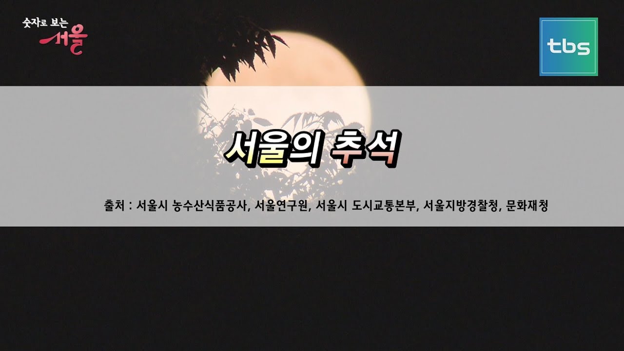 [tbs] 숫자로 보는 서울_ 서울의 추석