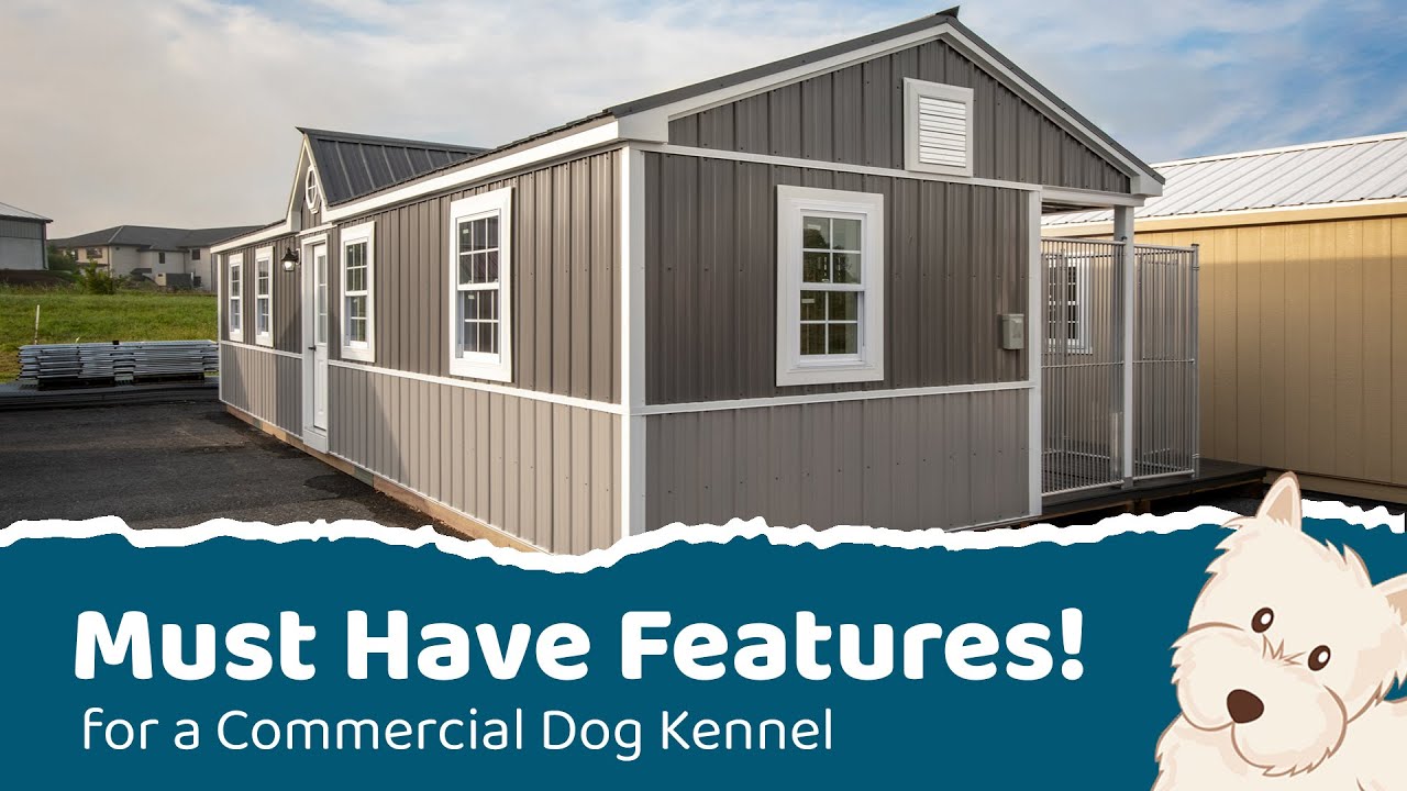 Must Have New Features in Our Custom 20x40 Commercial Dog Kennel!