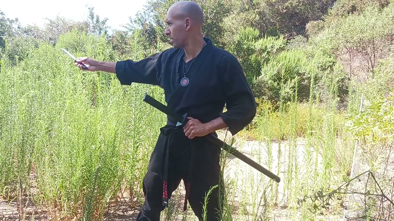 shadow Hawk koga Ryu Ninjutsu training. Ninjutsu techniques on stealth. inton jutsu.