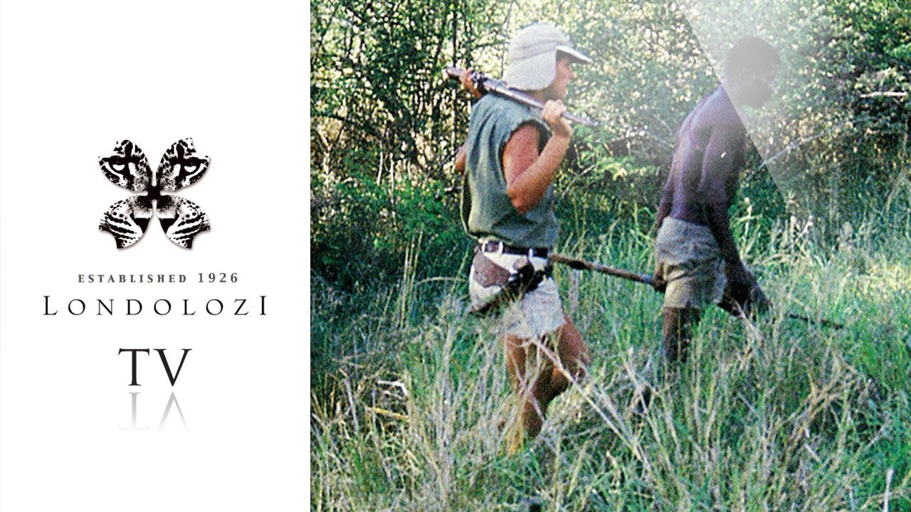 Leopard Queen - John Varty Interview # 5 - Londolozi