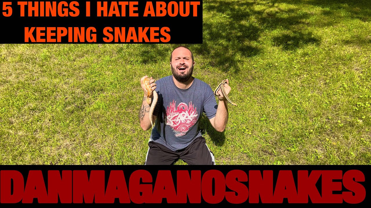 Episode 119: Top 5 things I HATE about keeping snakes