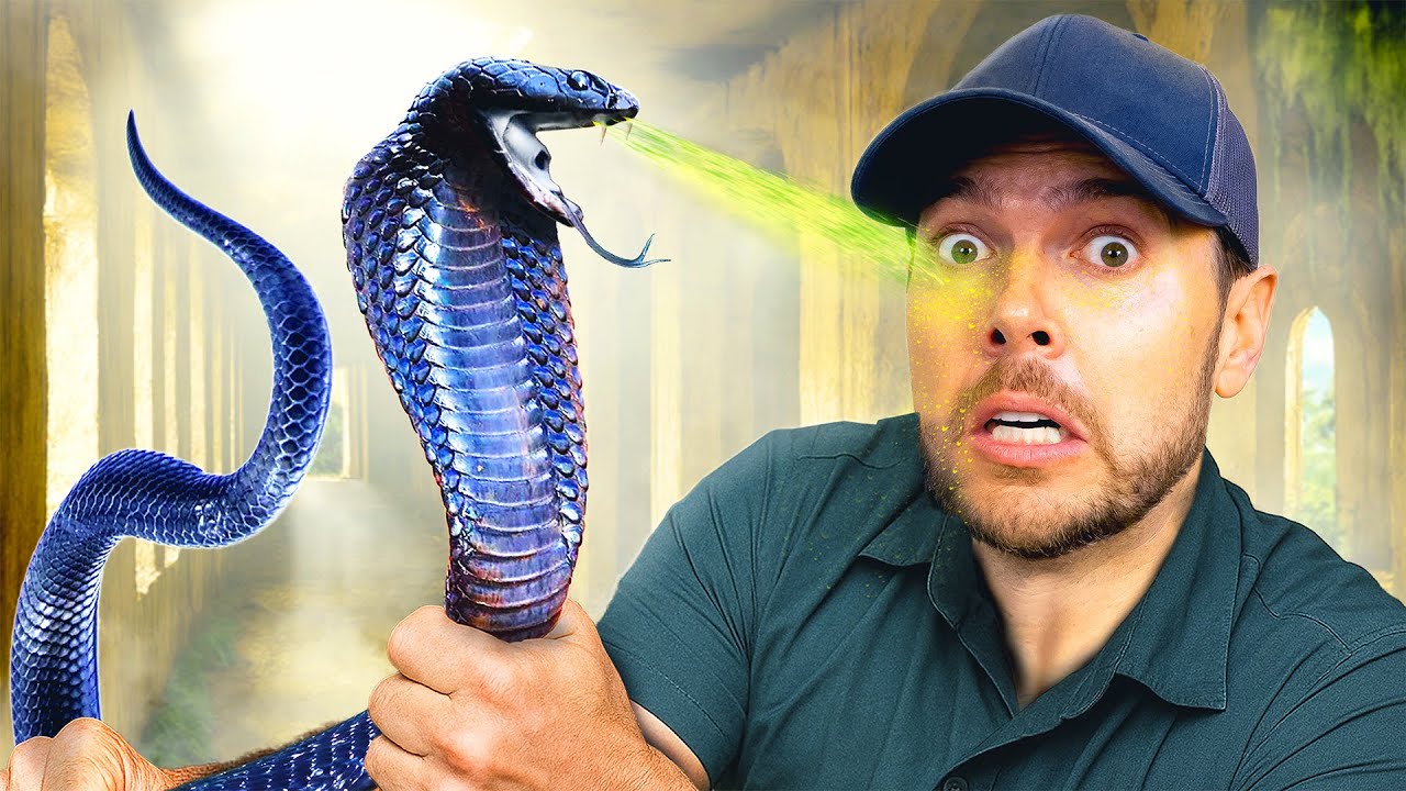 Catching Spitting Cobras in Abandoned Hotel!