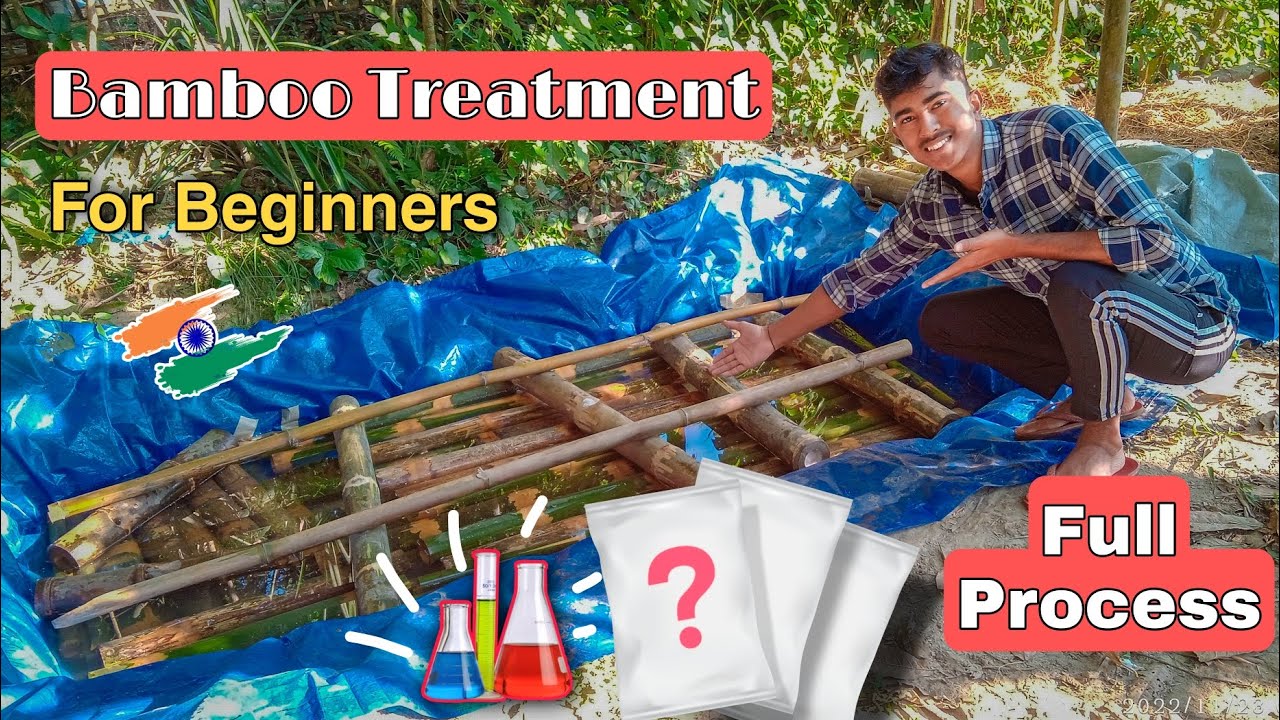 Bamboo treatment process || HINDI || Chamical treatment of bamboo 👍 treatment of bamboo at home 🏘️