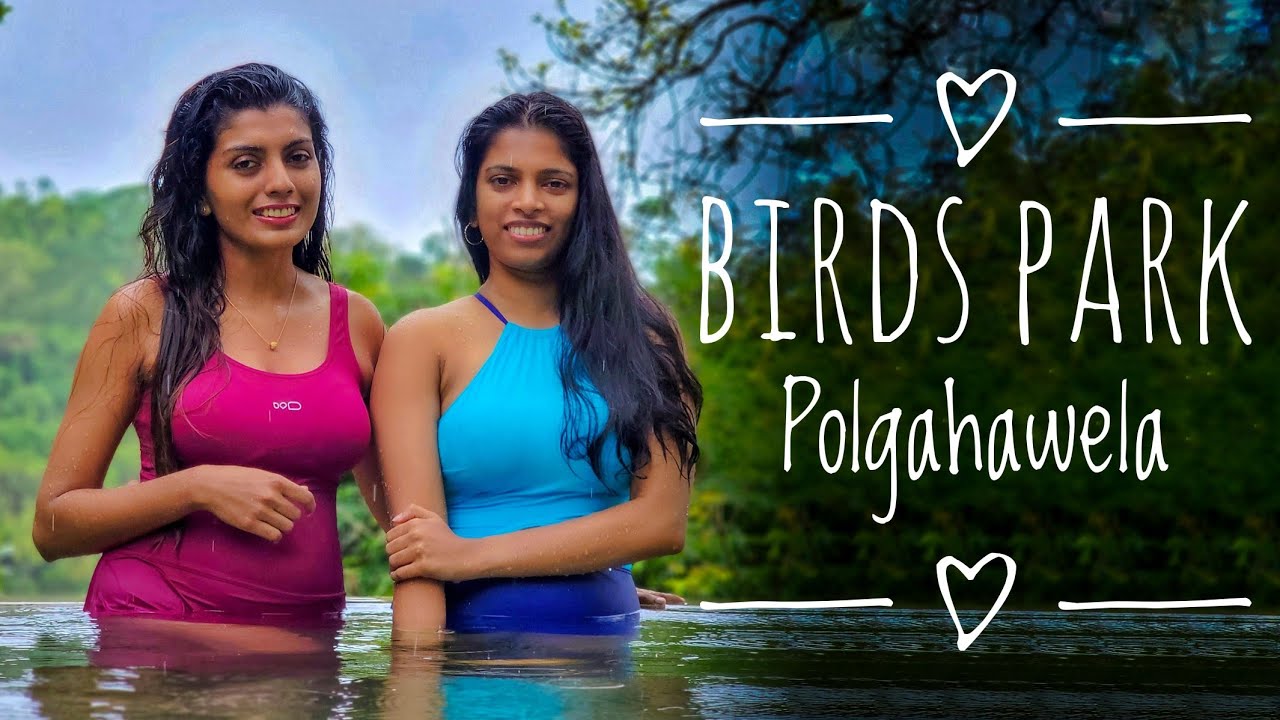 පොල්ගහවෙල තියෙන මේ resort එක දැකලා තියෙනවද? Birds Park Nature Resort 😍