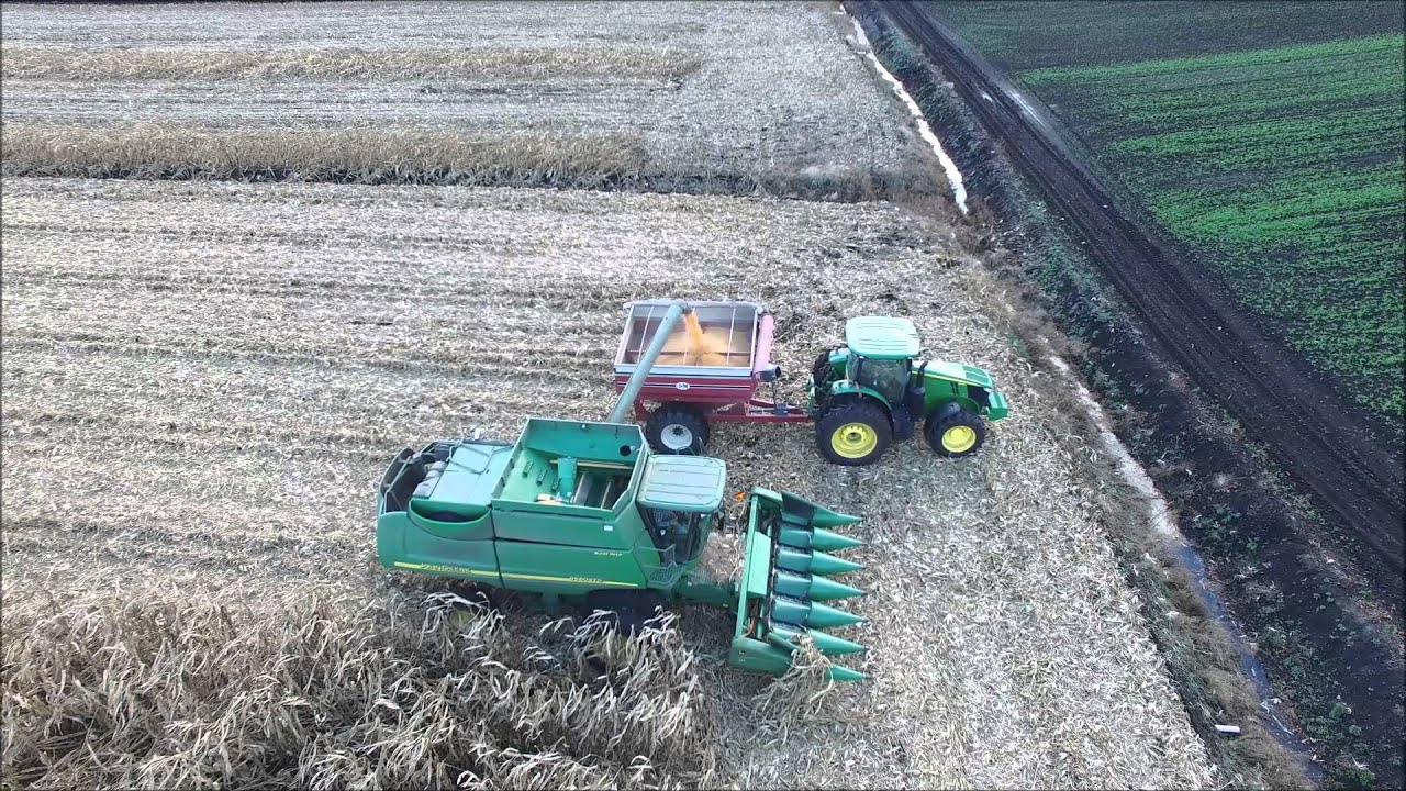NY Corn Harvest15