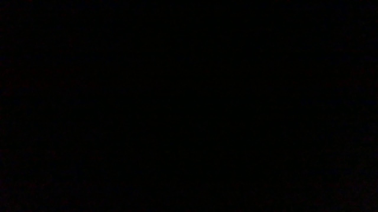 Shelcore Musical Turtle Rattle all songs