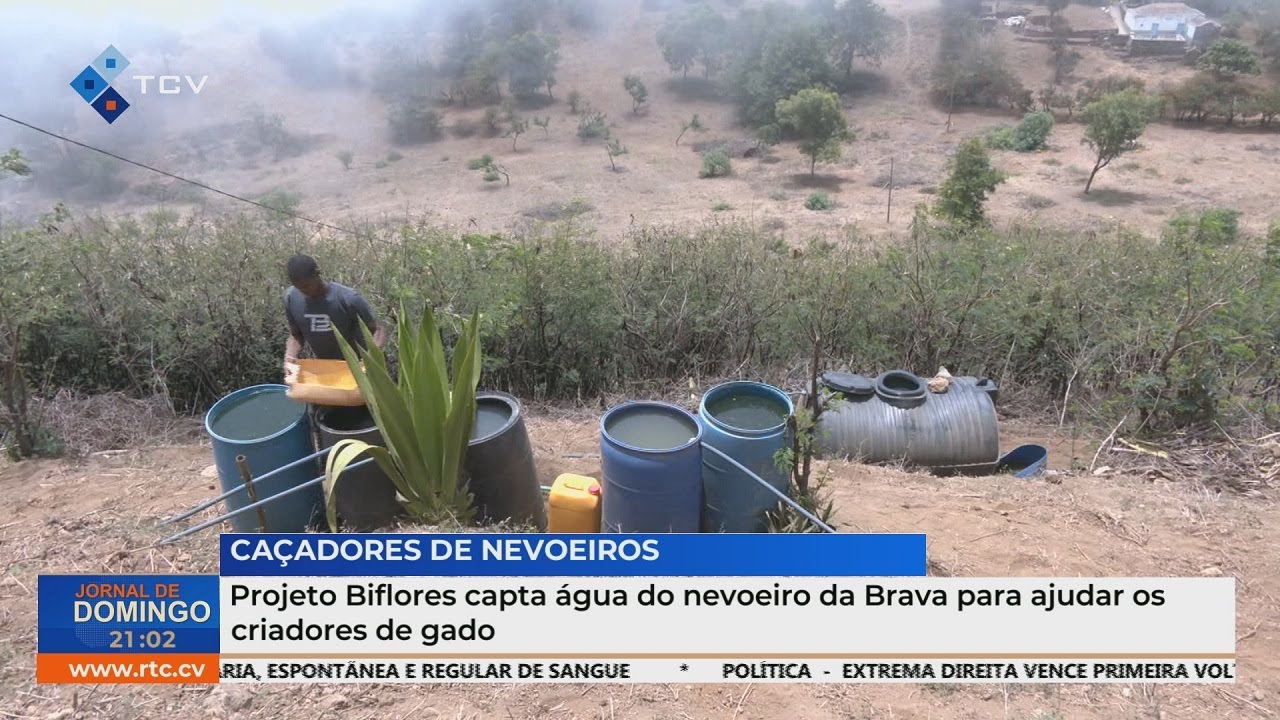 Projeto Biflores capta  água do nevoeiro da Brava para ajudar os criadores de gado