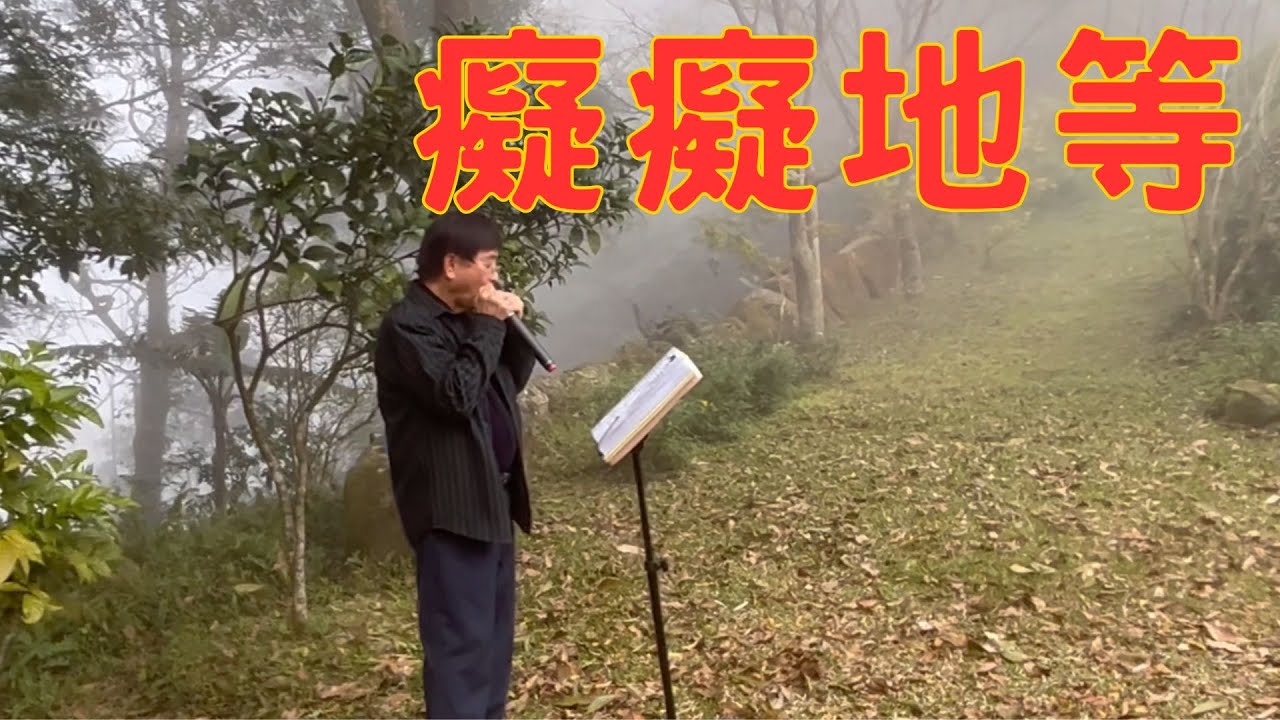 癡癡地等 （口琴字幕版 ）