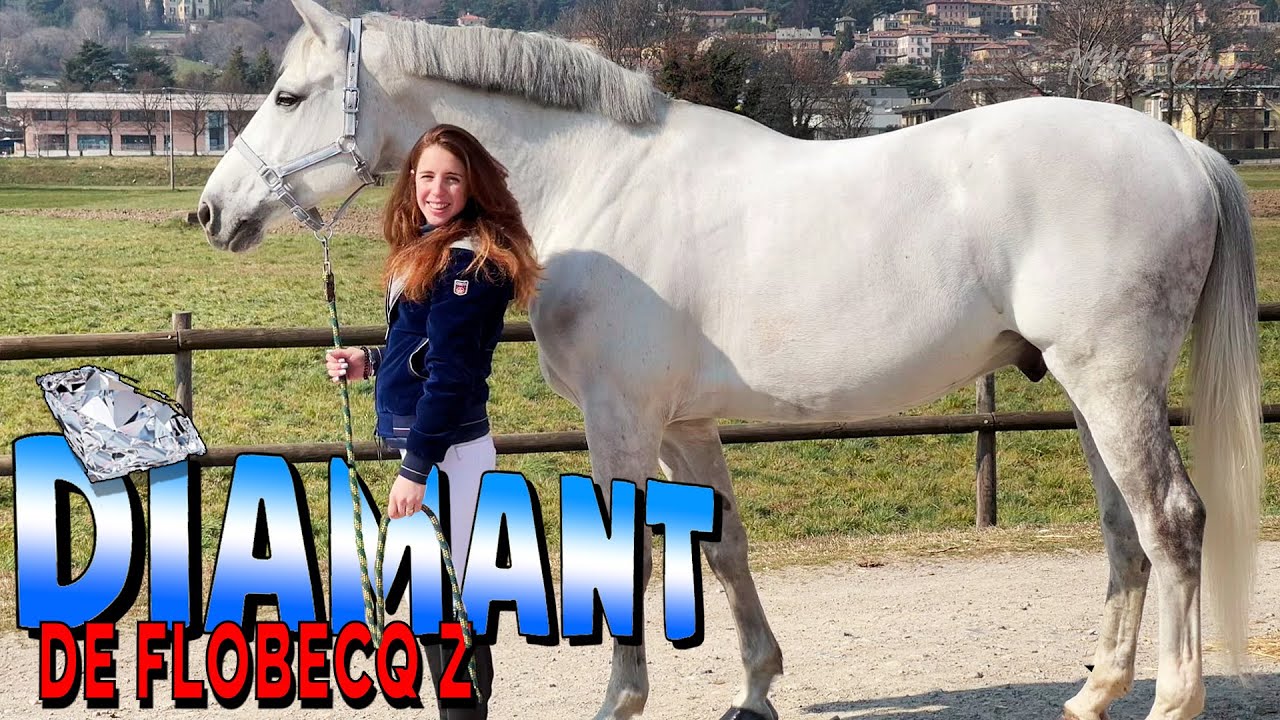 FINALMENTE E’ ARRIVATO IL MIO CAVALLO DA SOGNO!
