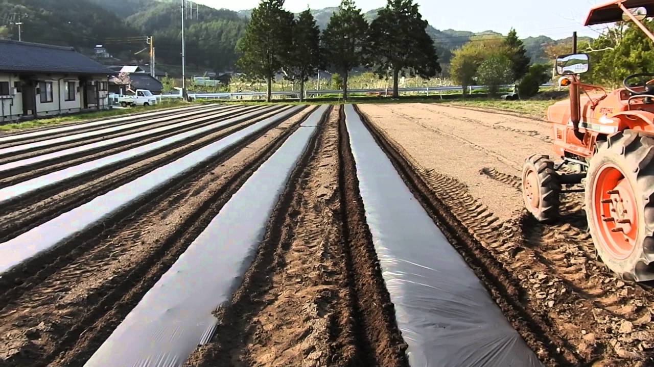 トラクターに人力マルチャーを付けて作業する