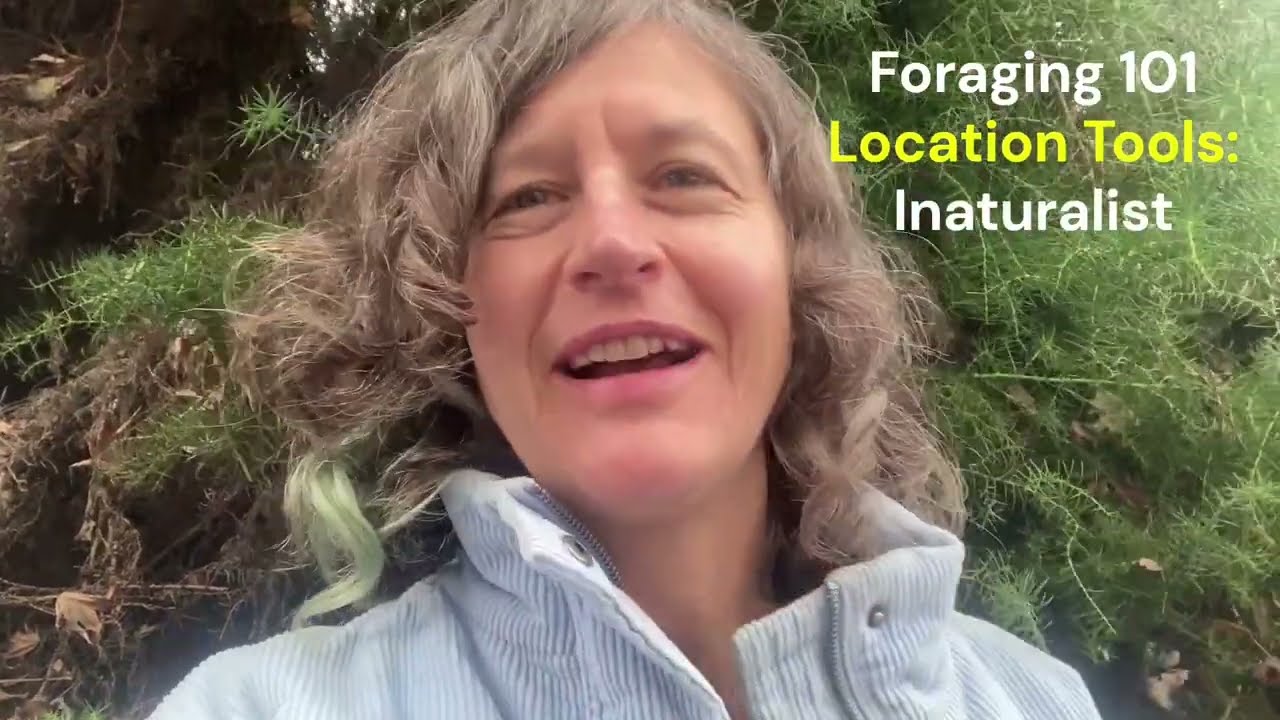 Foraging 101 - Tools for finding wild foods with Chef Robin Kort