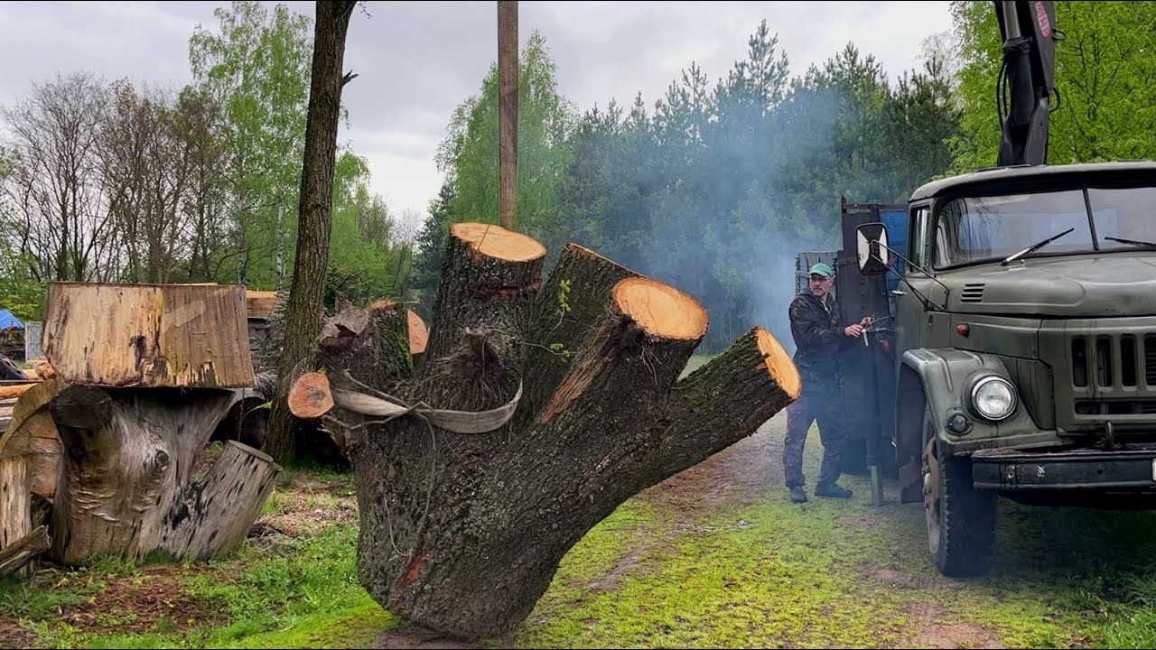 Что скрывают эти загадочные бревна?