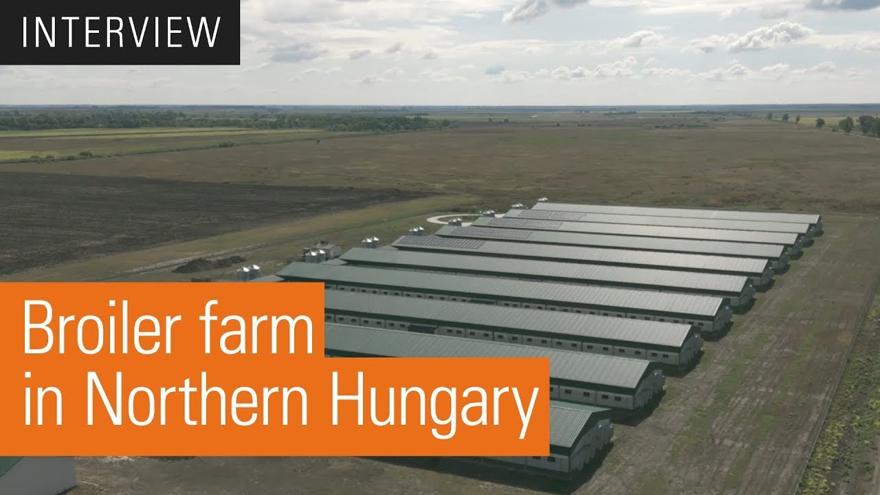 Szentistváni Mezőgazdasági Zrt - Customer Testimonial | Broiler production in Hungary