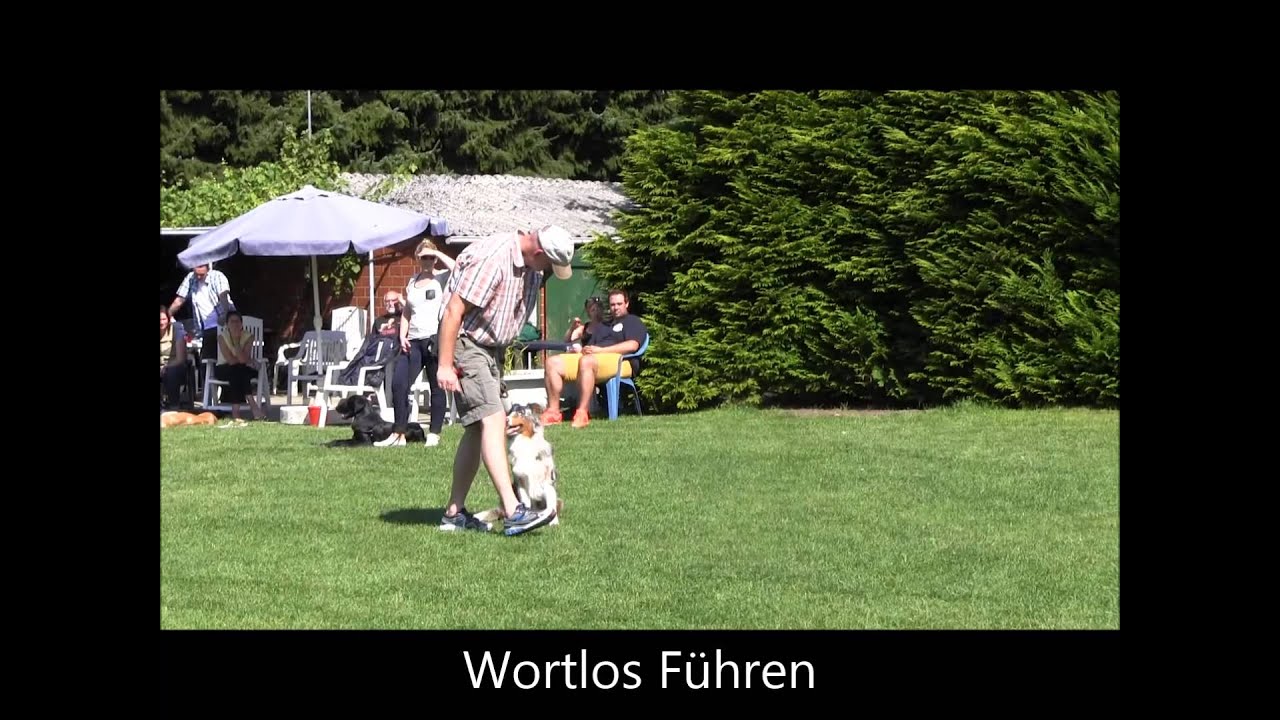Hundeschule Loewenzahn 