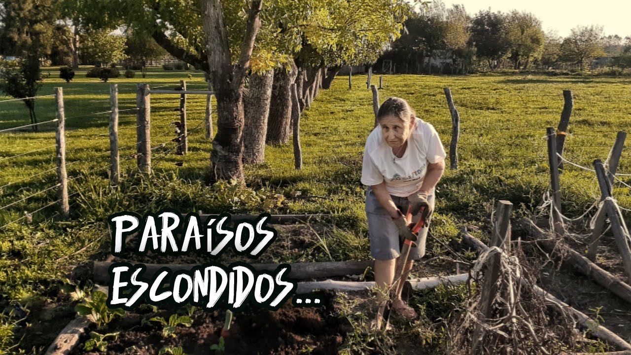 Completamente OCULTA y TRANQUILA en un lugar 