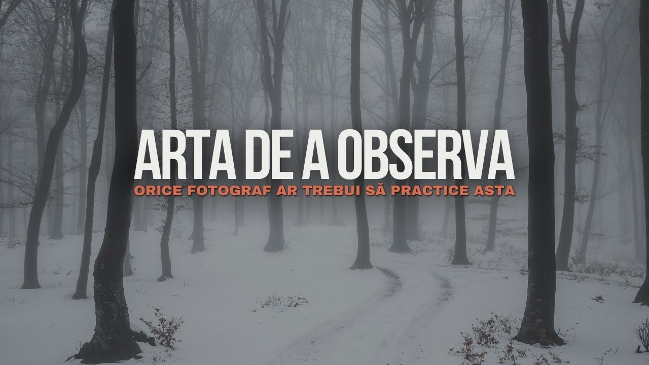Arta de a Observa in Fotografie
