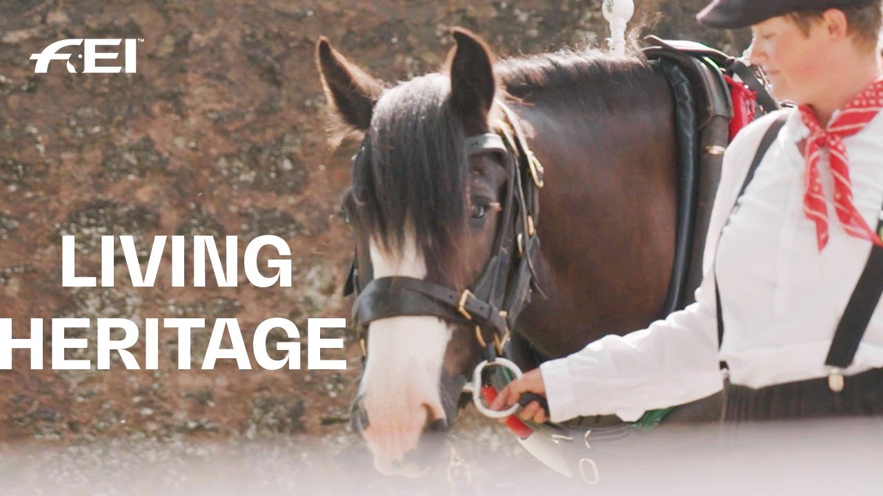 One of the last Horse-Drawn Barges in Great Britain - Tiverton Canal Co.| RIDE presented by Longines