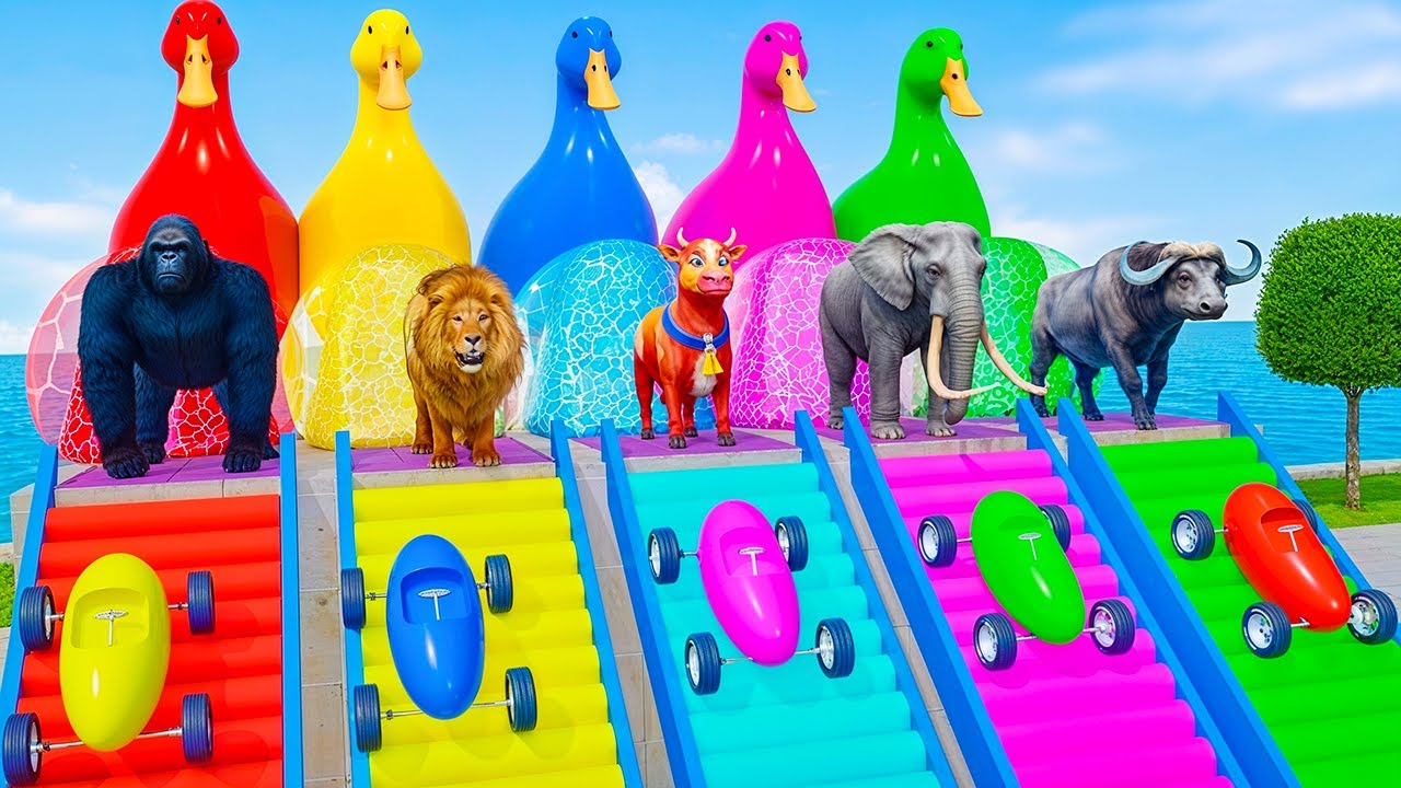 Long Slide Game with Cow Elephant Gorilla Hippopotamus Tiger 3d Animal Game Funny 3d Animals
