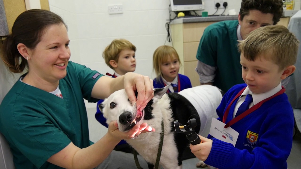 Penpol School visits Animal Vets