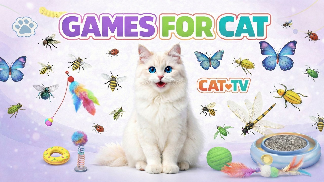 CAT GAMES 🐾 3D Cat TV Rush – Bird Chase • Mouse Hunt • Insect Swarm! 😺 | 6 Hours 4K60FPS