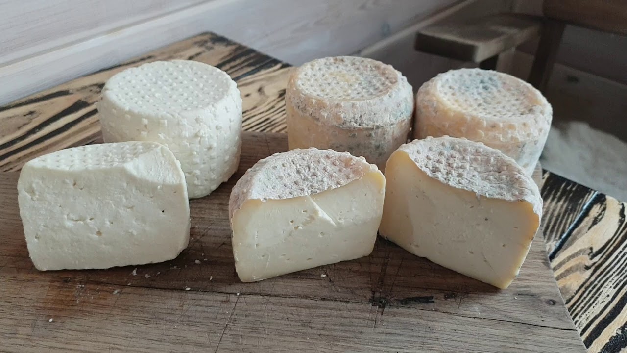 Пекорино