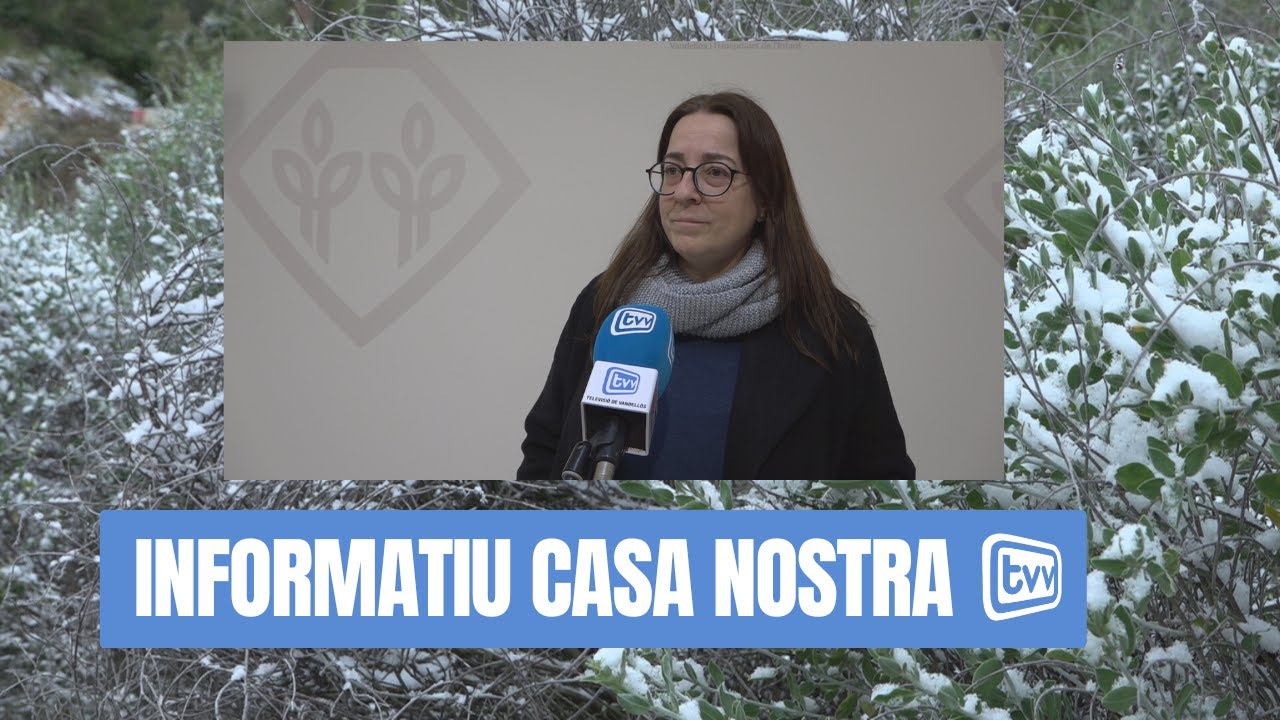 Sense incidències en la nevada d’aquest dilluns