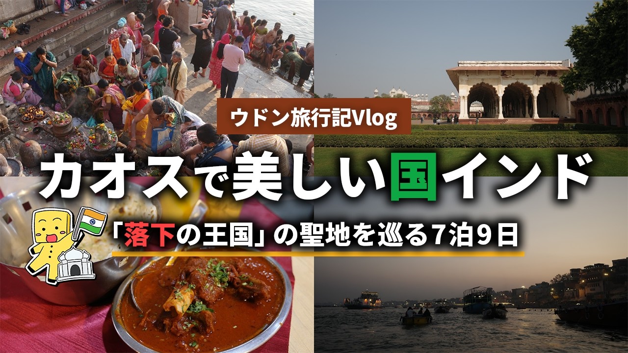 【実写】落下の王国の聖地を巡る！カオスで美しい7泊9日のインド旅行Vlog