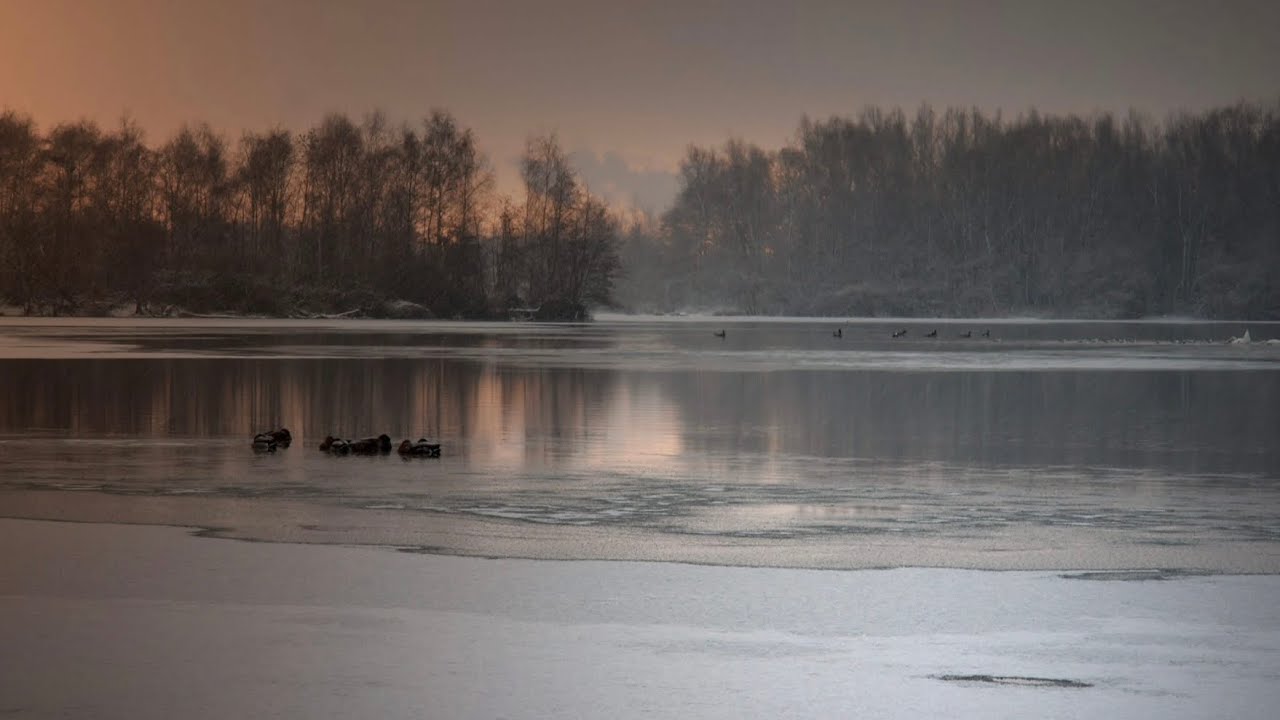 Calming in winter dream 