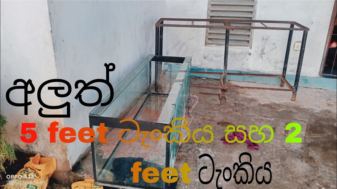  මගේ අලුත් .අඩි පහ, අඩි දෙක. ටැංකි .........SL fish book 