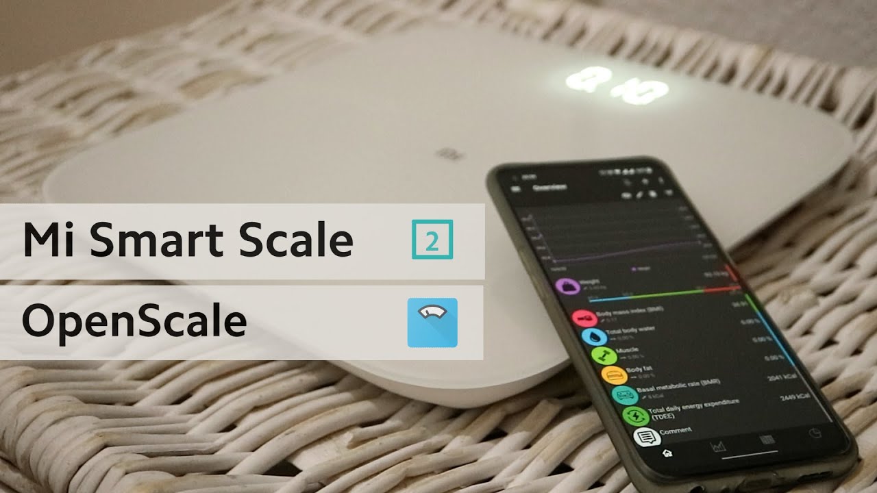 Cheap Bluetooth Scales with OpenScale (Mi Smart Scale 2 Wireless Weight Measurement & Tracking)