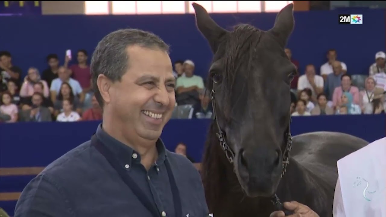 SALON DU CHEVAL D'EL JADIDA : dimanche 06 Octobre 2024