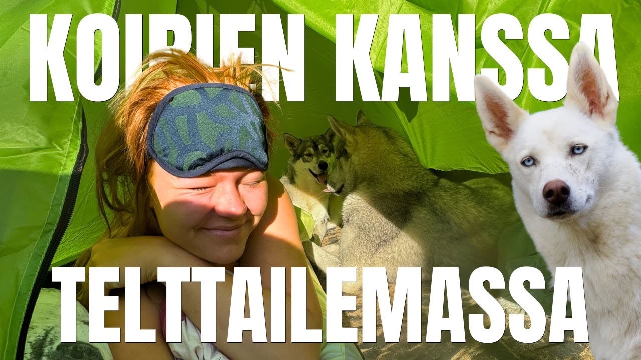 NUKUIN KOIRIEN KANSSA TELTASSA⛺️