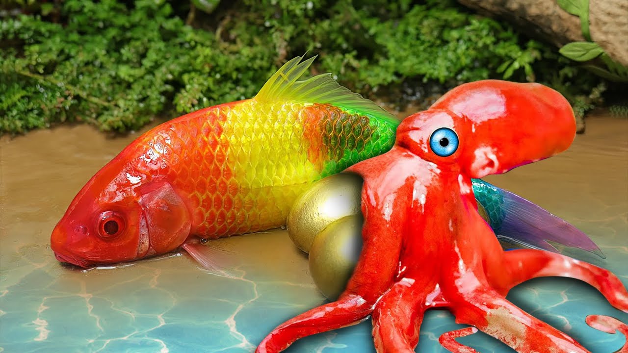 Rainbow Formation Fish | Stop Motion ASMR Experiment | Colorful Koi Fish Carp Underground Cooking
