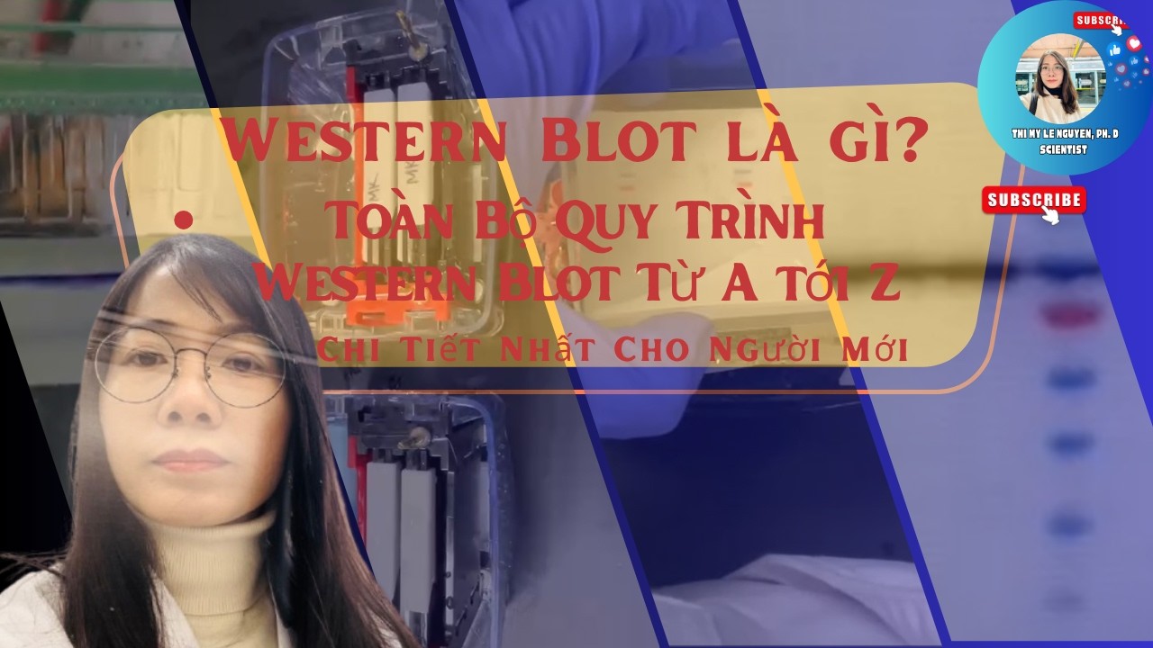Western Blot là gì? Toàn Bộ Quy Trình Western Blot Từ A tới Z Chi Tiết Nhất Cho Người Mới