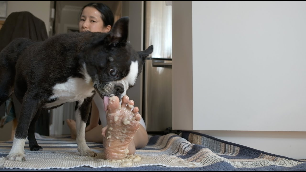 ASMR Dog Licks Arab Sweet of my Feet TEASER; Banana Tahini Cream mash; Tickle Mukbang 舔腳趾細話，甜豬狗狗舔蕉蕉