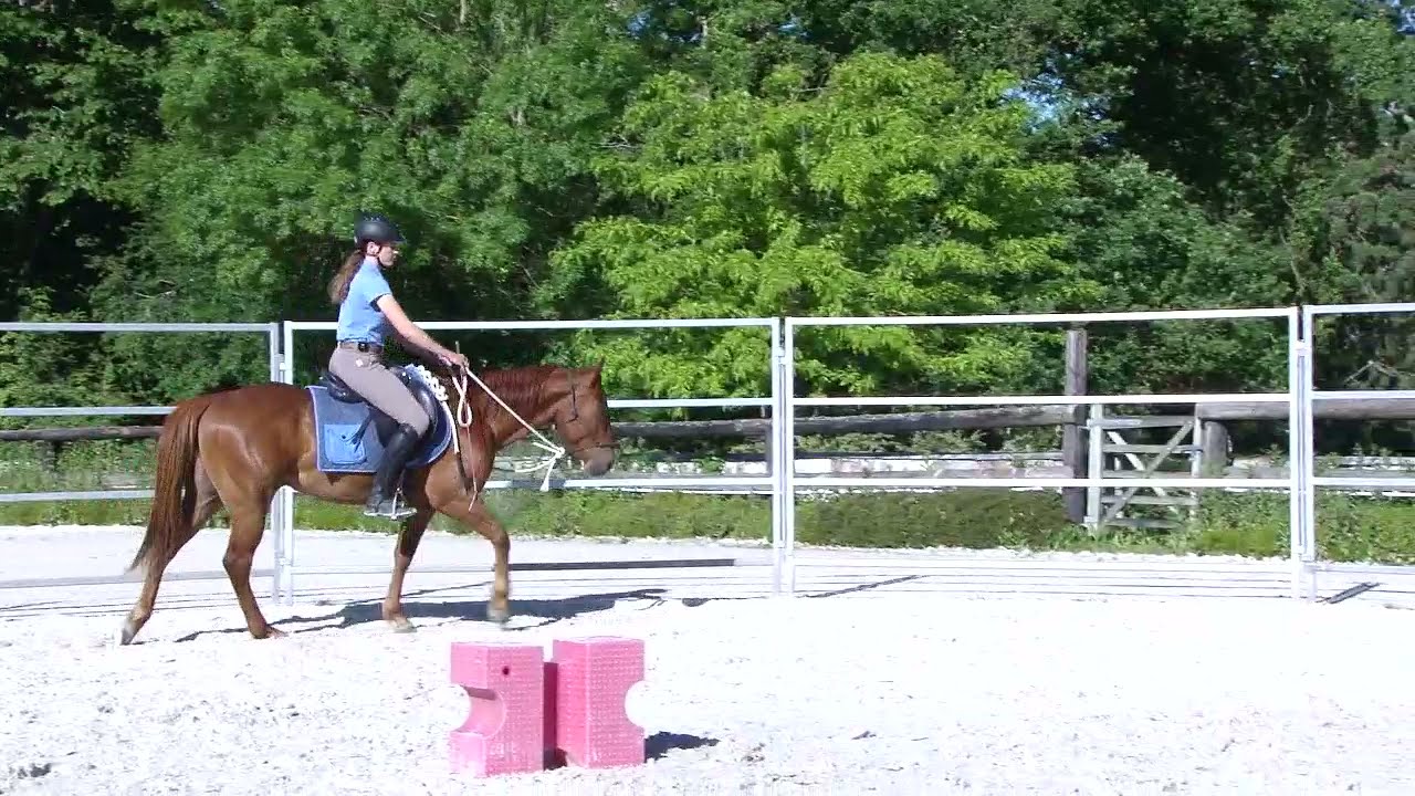 Hakan: Finding Relaxation When Trotting - 4th ride