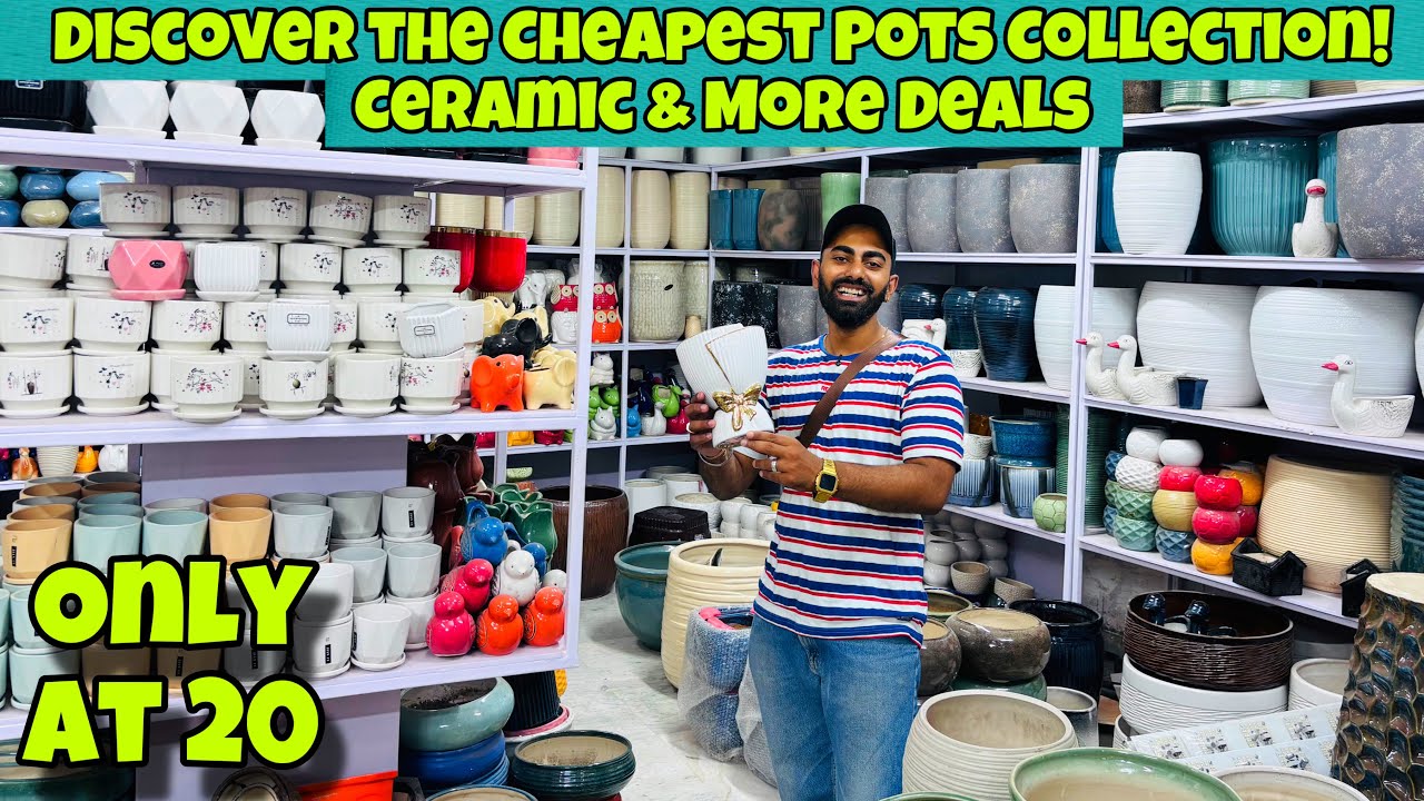 Discover the Cheapest Pots Collection | Ceramic & More Deals #pots #ceramic #crockery #homedecor