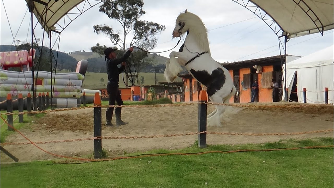Visita a Huesitos un lugar especial lleno de Caballos