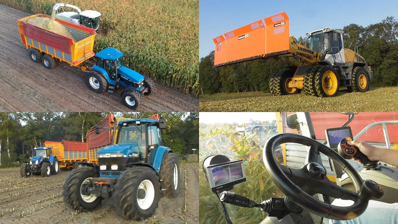 Chopping corn with Claas, New Holland & Liebherr