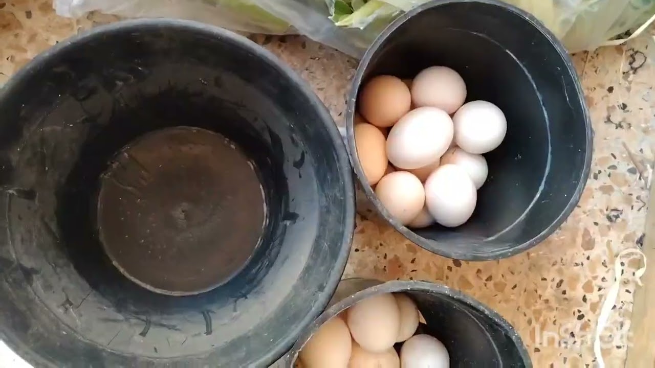 Момент в моем маленьком манокане