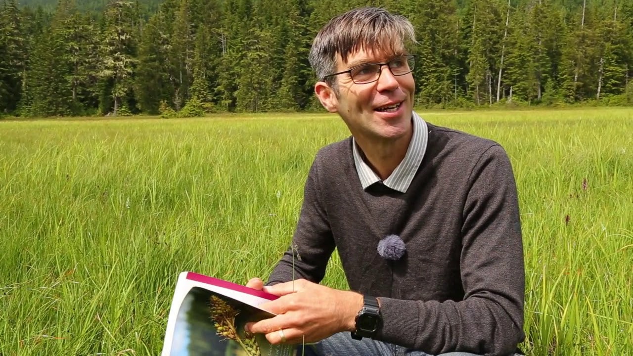 Fens & Montane Wetland Vegetation of the Pacific Northwest