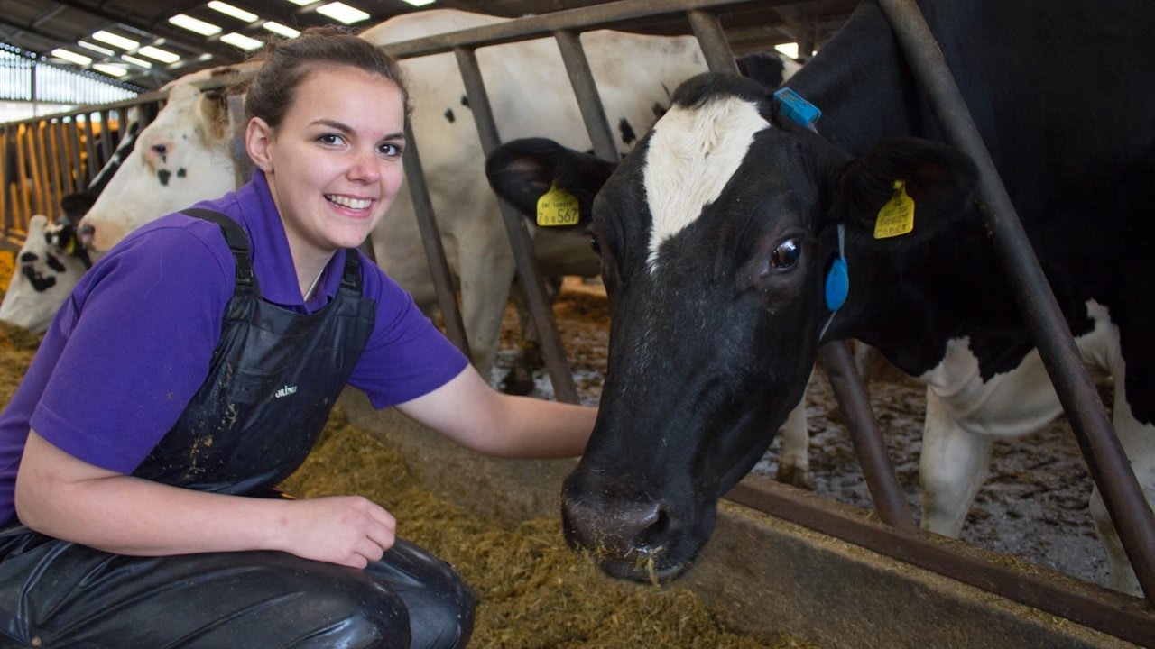 Leading UK Ag College installs MooMonitor+ | Reaseheath College