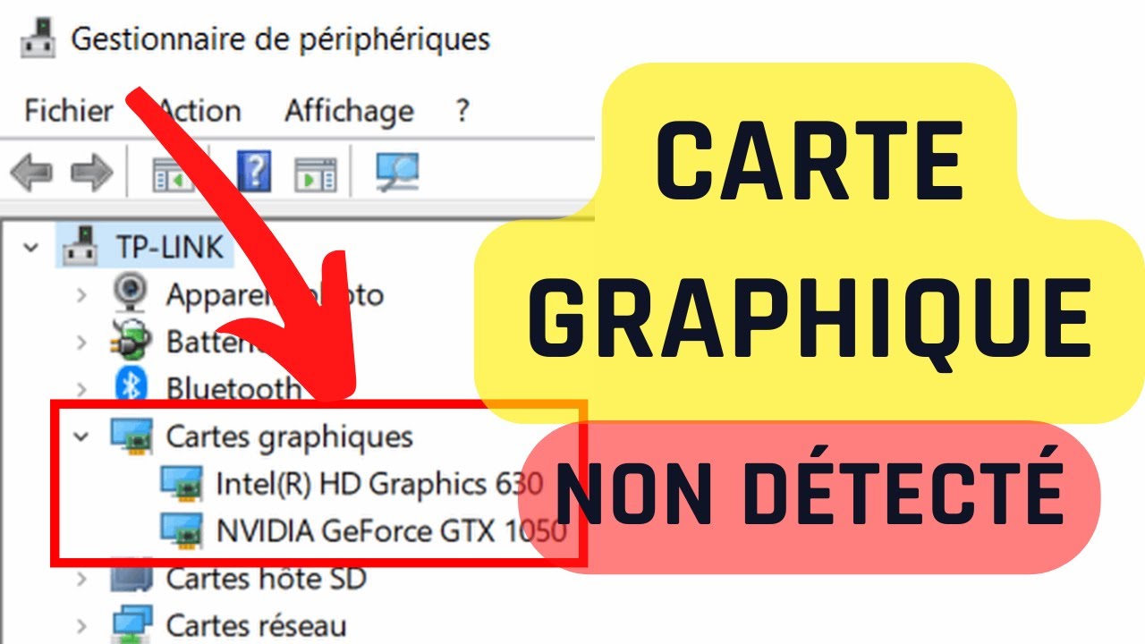 Carte Graphique non détecté dans le gestionnaire de périphériques