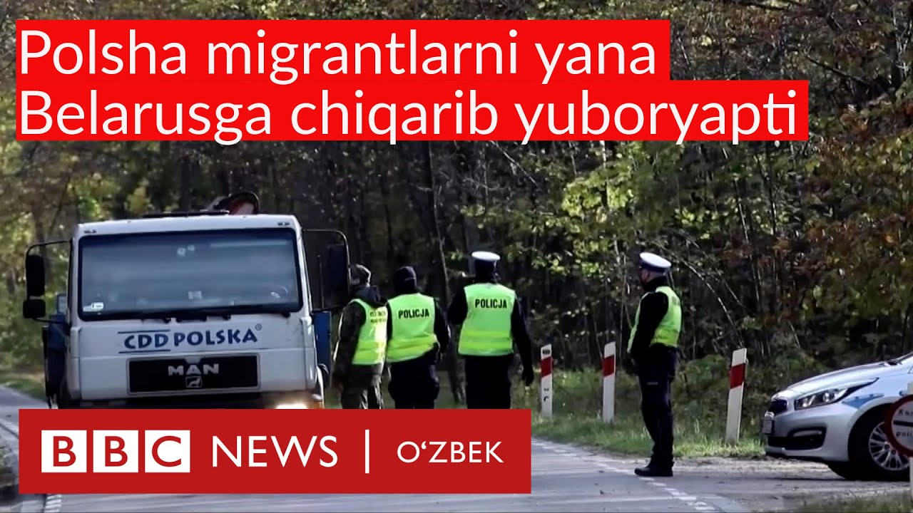 Польша Беларусь орқали келган мигрантларни тутиб ортга қайтаряпти - BBC News O'zbekiston Migrant