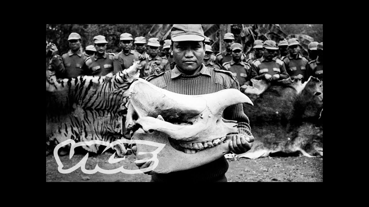 Documenting Asia's Illegal Animal Trade