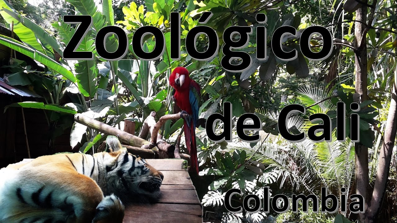 Animales del Zoológico de Cali - Colombia