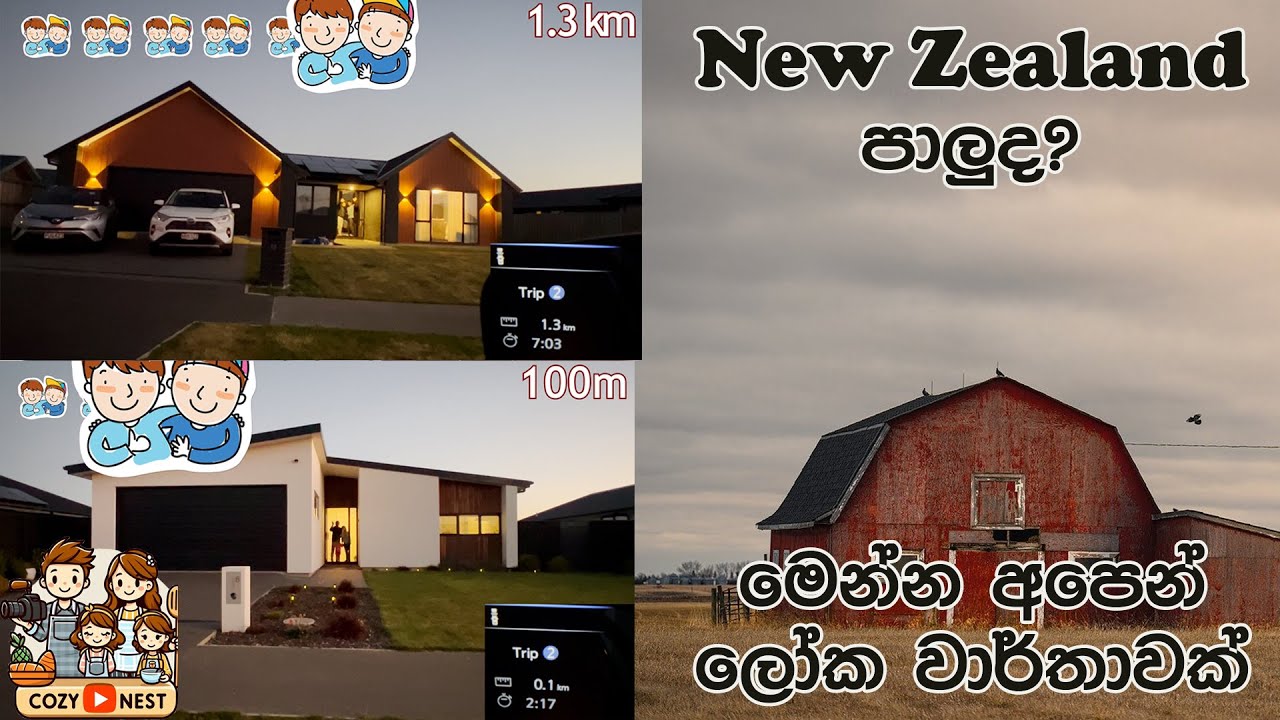 පාලු New Zealand වල ලංකාවෙ අපි එක පෙළට | Sri Lankan living in NZ |world recoed 🤩 Sinhala Vlog 13