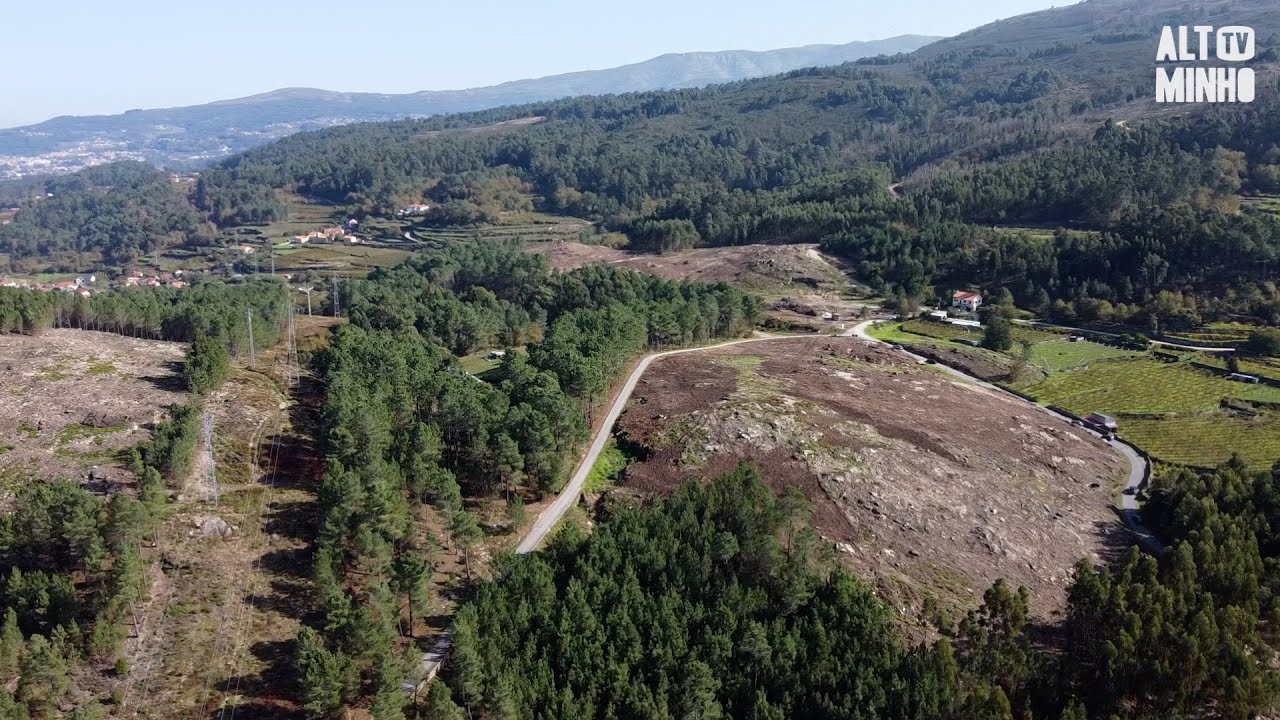Melgaço vai instalar 10 mil painéis solares em seis hectares de produção fotovoltaica | Altominho TV
