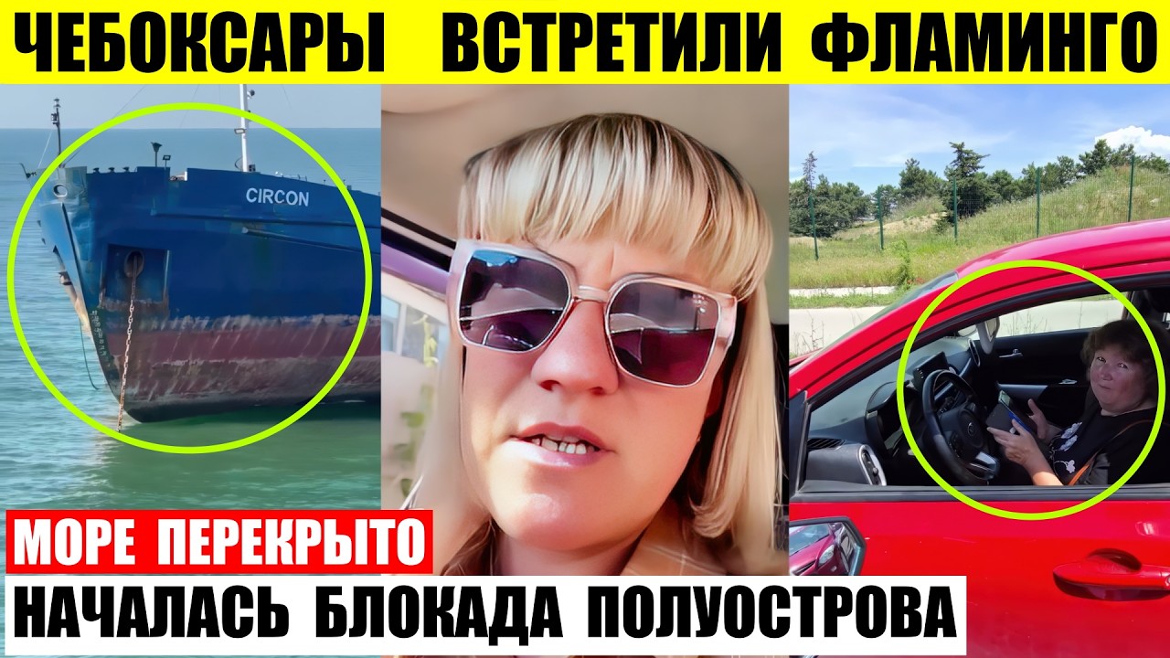 Чебоксары встретили фламинго. Море перекрыто. Началась блокада полуострова.